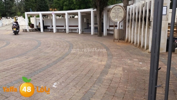 tasoo yahood mabar (4).JPG